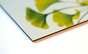 contrecollé sur aluminium dibond